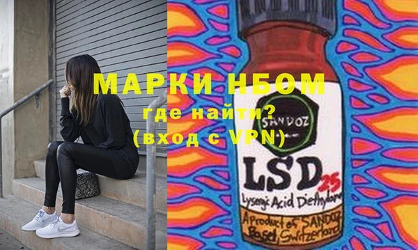 хмурый Абаза