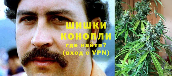 прущие крисы Пересвет