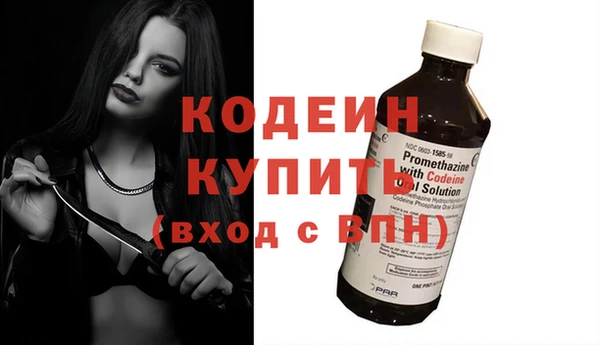 мдпв Осинники