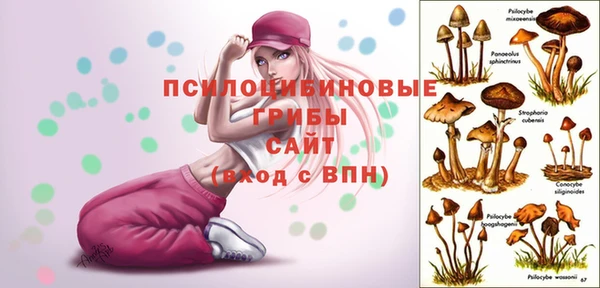 хмурый Абаза