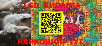 прущие грибы Абинск