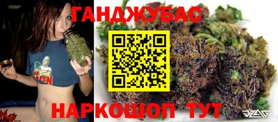 амф Бийск