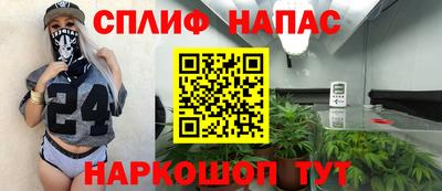 шишки Берёзовский