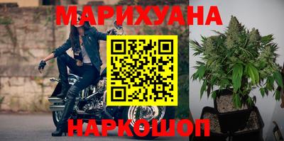 амф Бийск