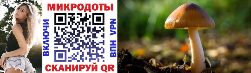 Галлюциногенные грибы мицелий  Великие Луки 