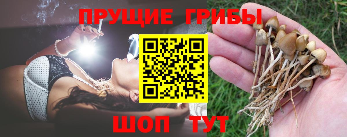 Великие Луки  Псилоцибиновые грибы Cubensis  Псилоцибиновые грибы прущие грибы  Вход с VPN 