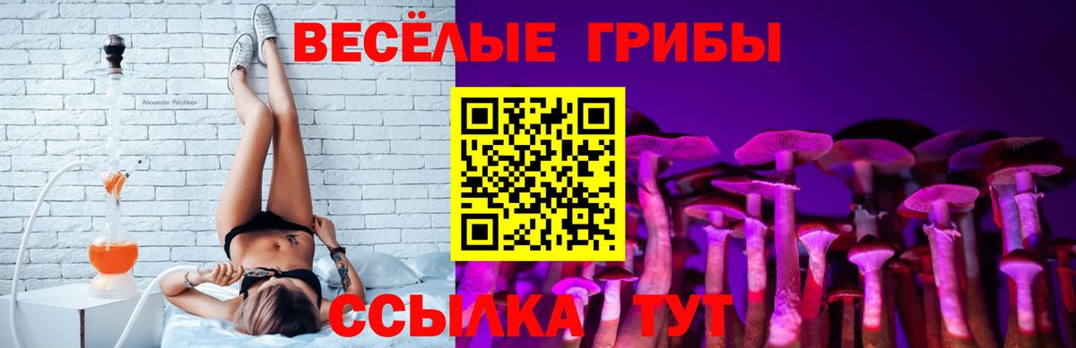 Галлюциногенные грибы мицелий Великие Луки
